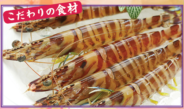 旬の新鮮食材を厳選